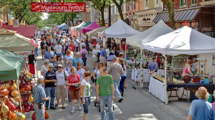 Unveiling The Magic Kennett Square Mushroom Festival Insider Guide