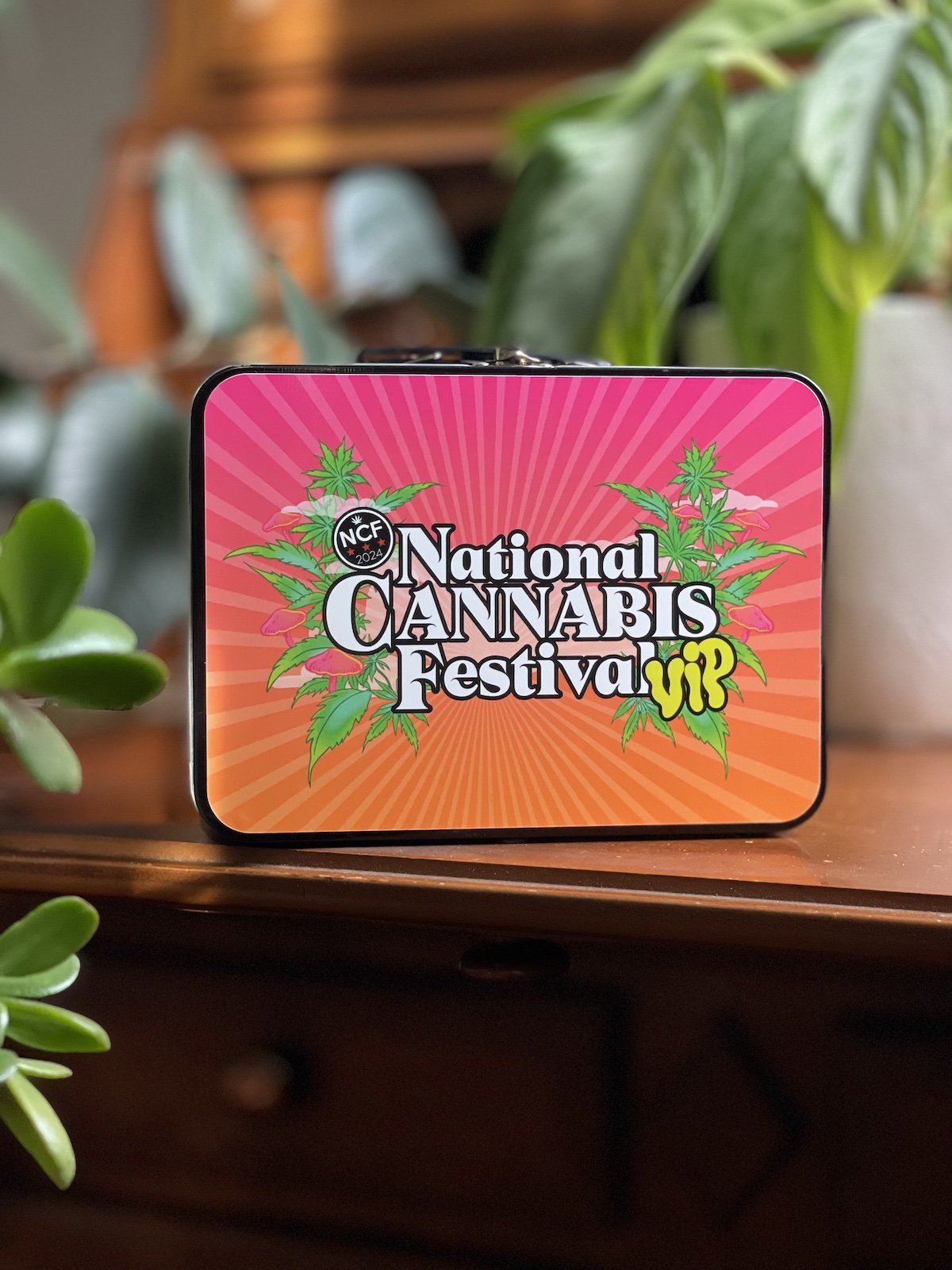 Blazing into the Future 420 Festival DC 2025 Guide