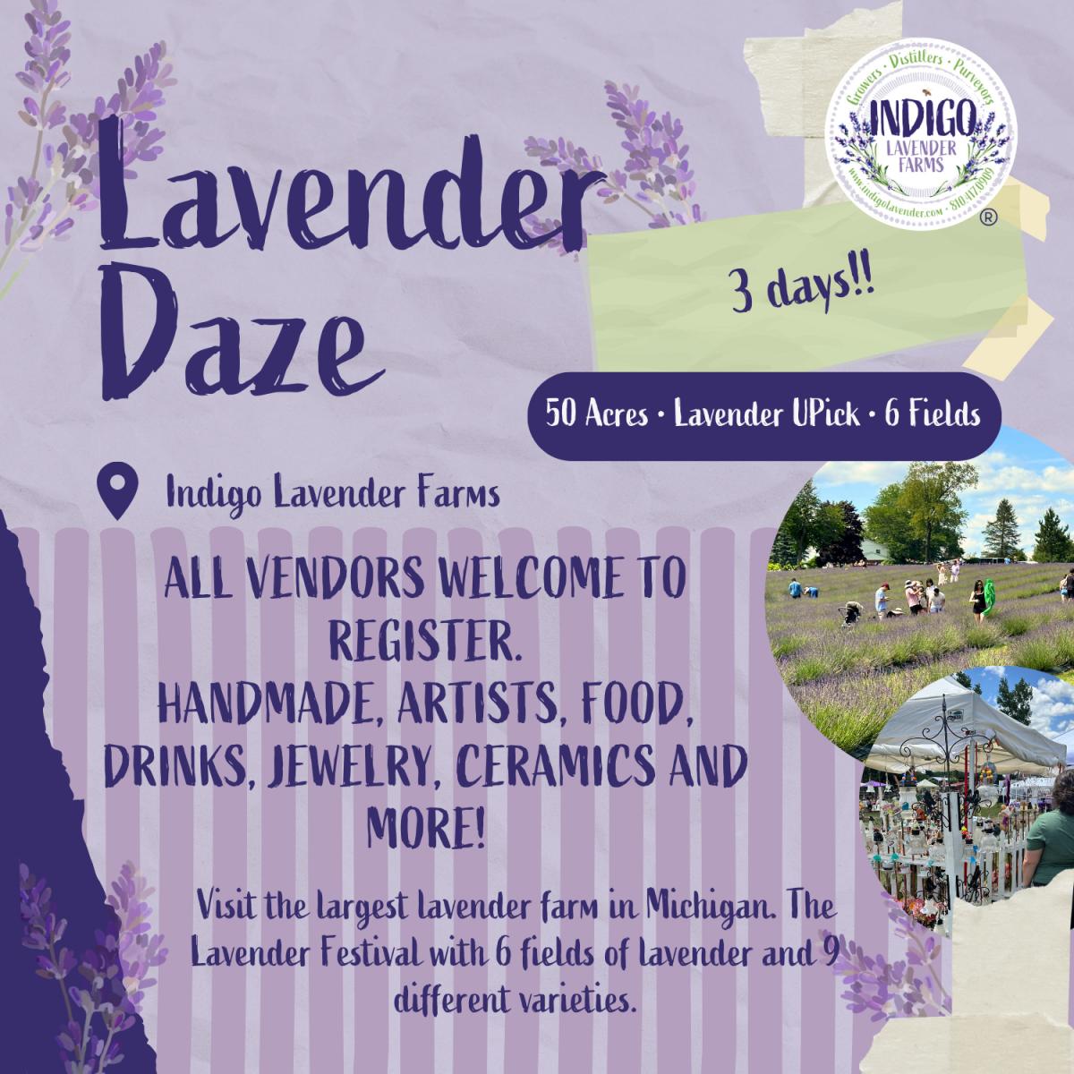 Lavender Festival Michigan 2025 A Fragrant Celebration of Nature and Culture