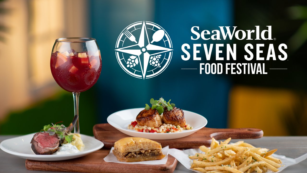 Seaworld 7 Seas Festival 2025 