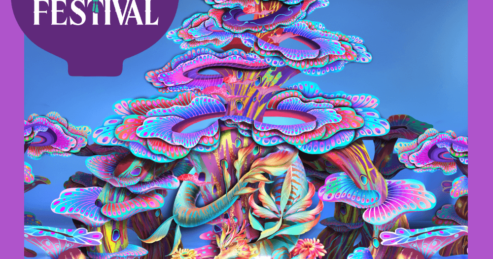 image 114 Festival 2025