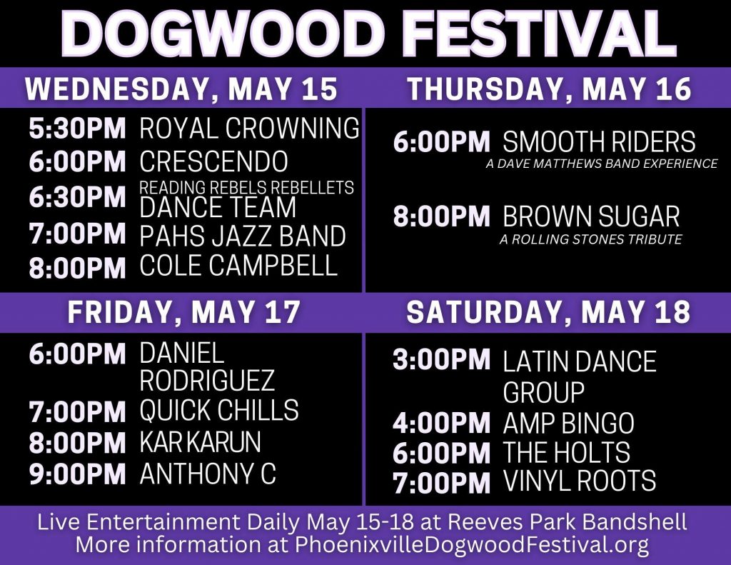 image 299 Festival 2025