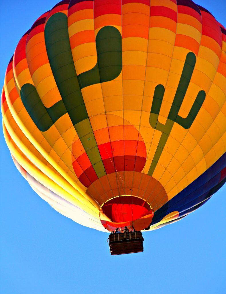 image 339 Festival 2025