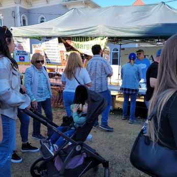 image 351 Festival 2025