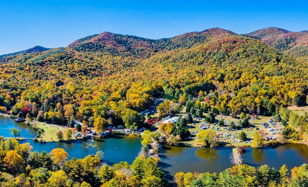 image 372 Festival 2025