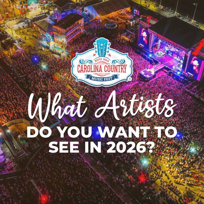 image 386 Festival 2025