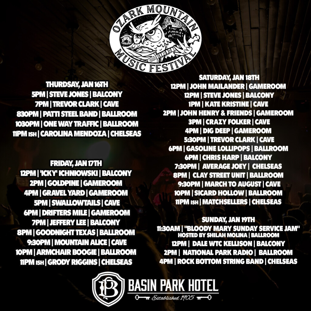 image 423 Festival 2025