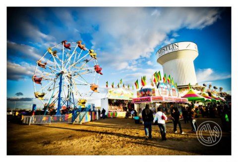 image 431 Festival 2025