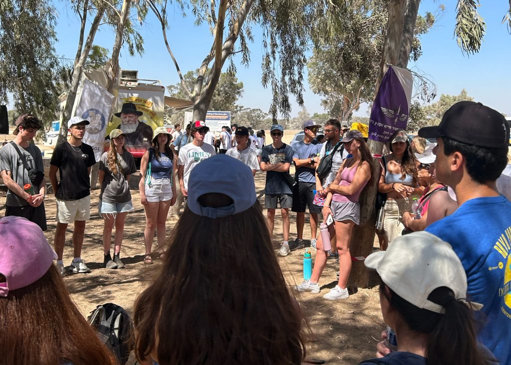 image 436 Festival 2025