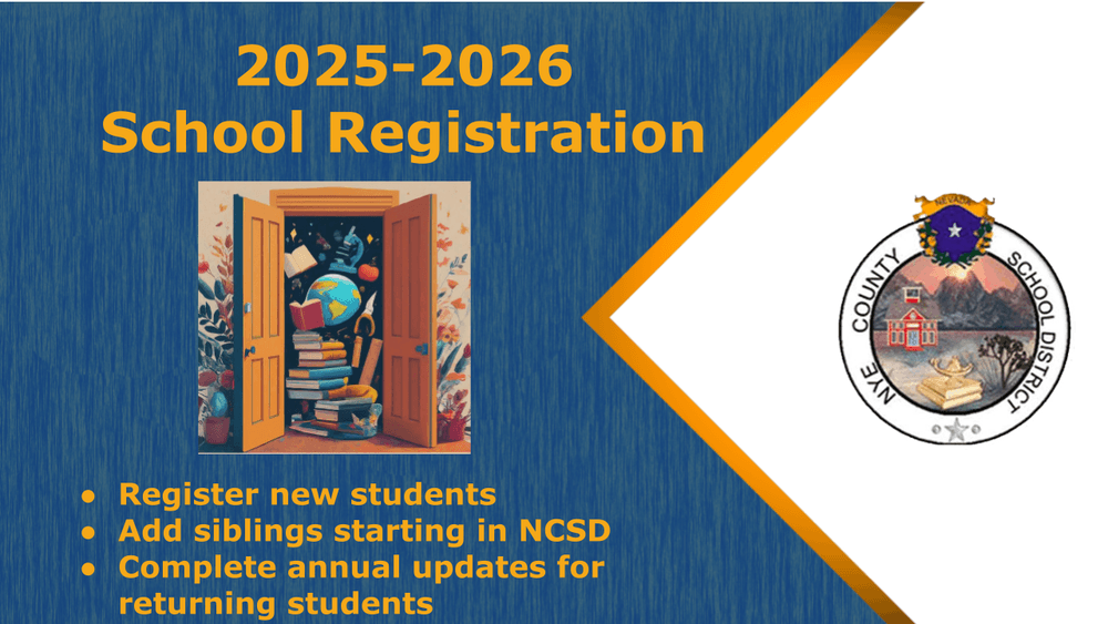 image 91 Festival 2025