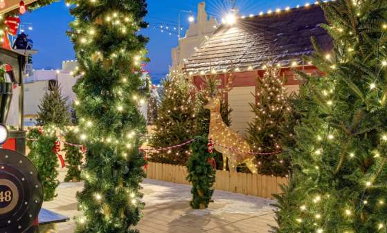 image 1003 Festival 2025