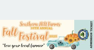 image 1029 Festival 2025