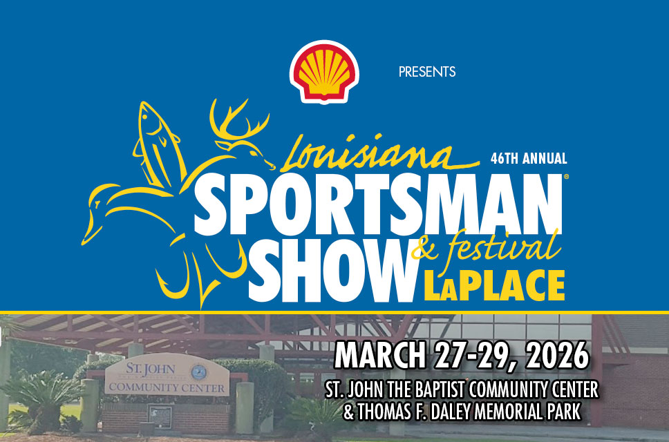 image 1072 Festival 2025