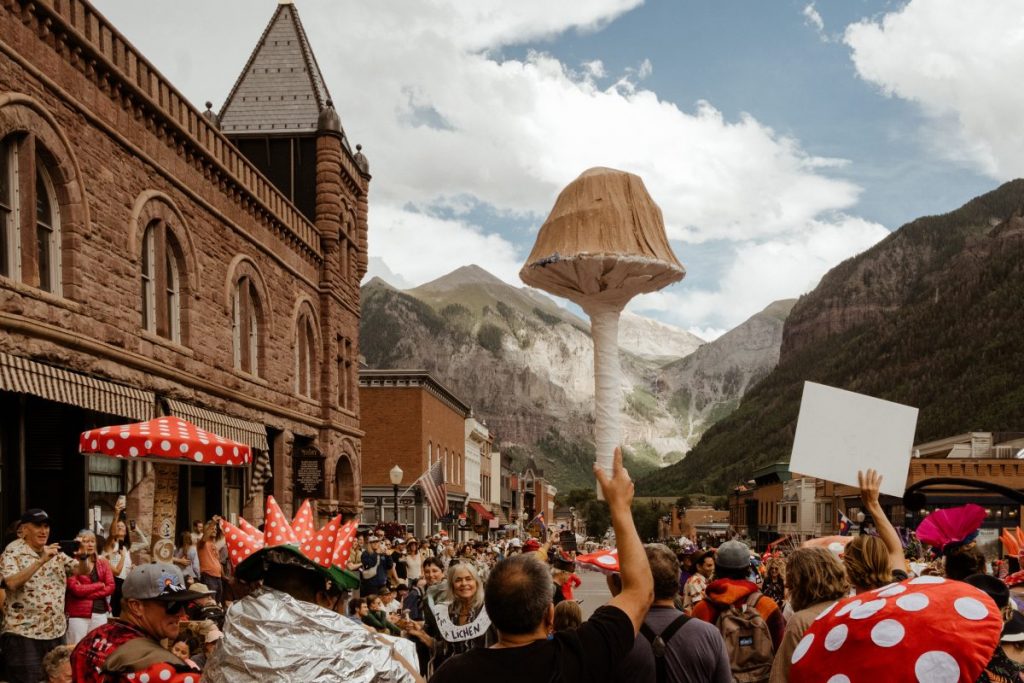 image 1088 Festival 2025