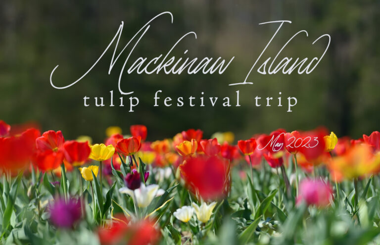 image 1094 Festival 2025