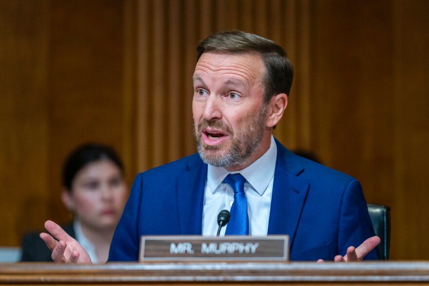 image 11 Festival 2025