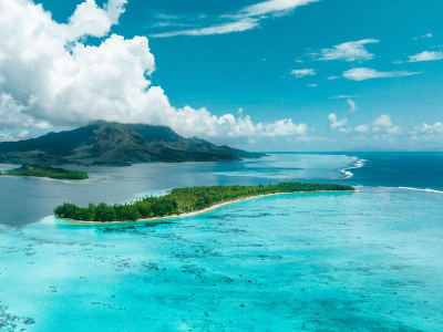 image 1146 Festival 2025