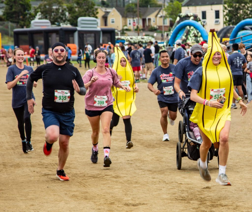 image 1149 Festival 2025