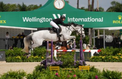 image 1174 Festival 2025