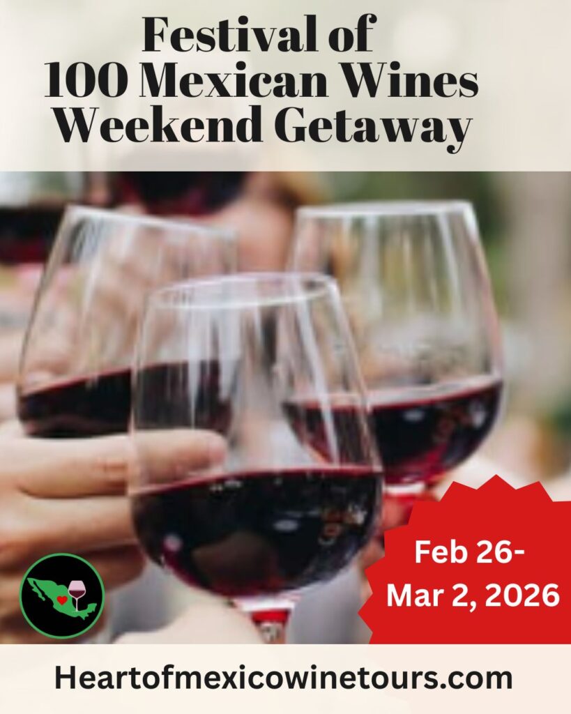 image 1181 Festival 2025