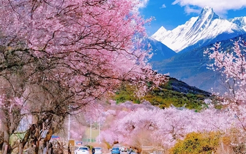 image 1264 Festival 2025