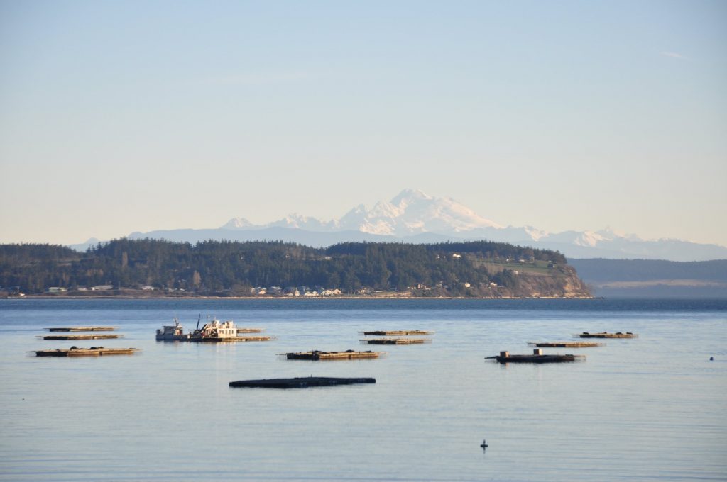 image 1278 Festival 2025