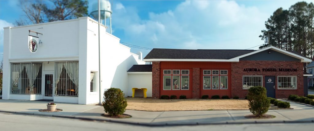 image 1314 Festival 2025