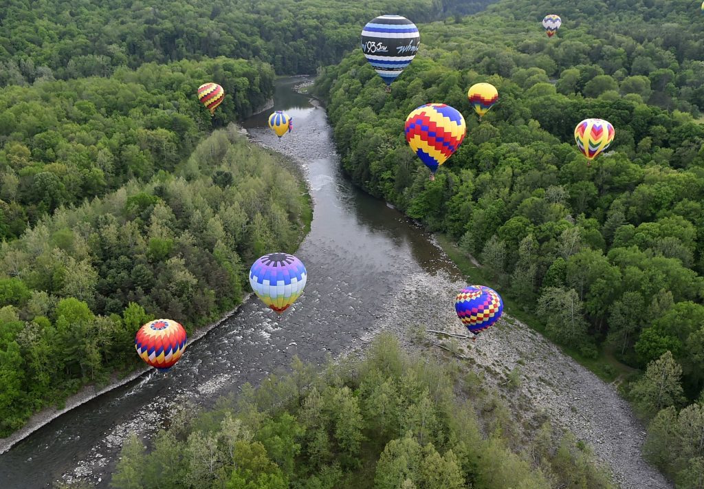 image 133 Festival 2025