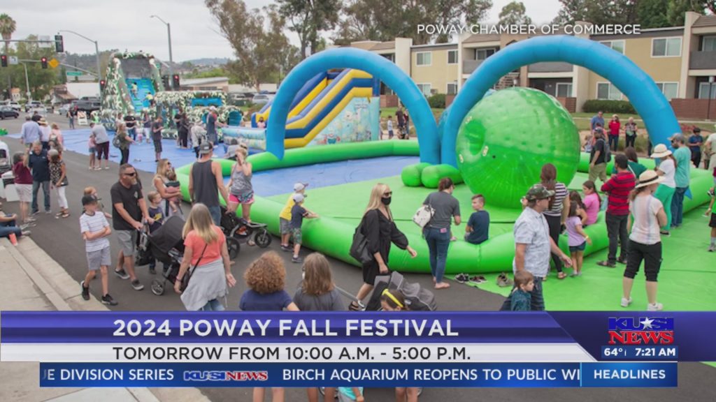 image 1334 Festival 2025