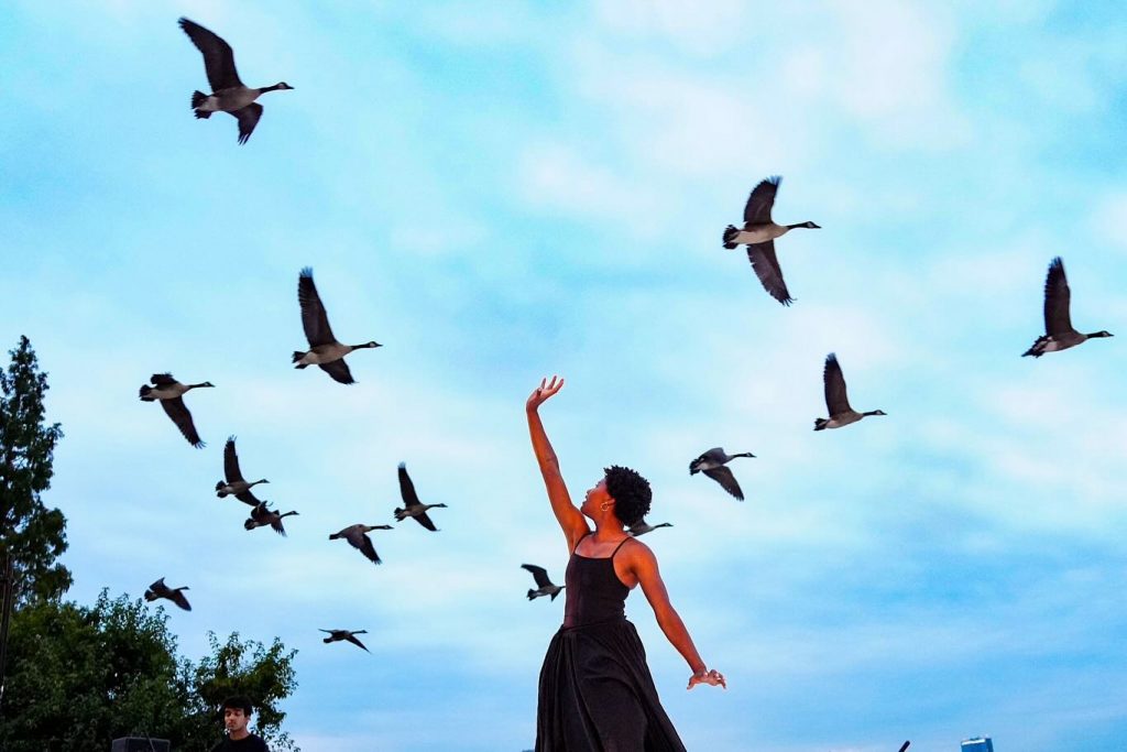 image 1336 Festival 2025