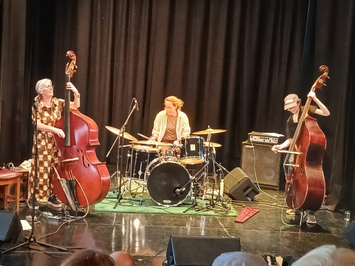 image 1341 Festival 2025