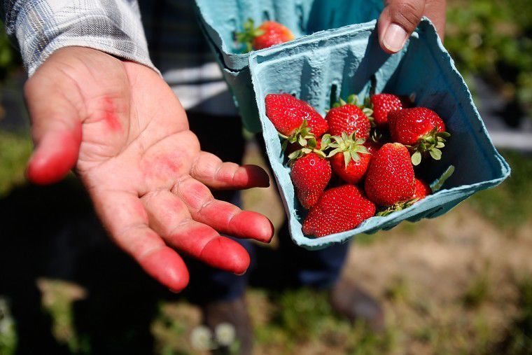 image 1359 Festival 2025