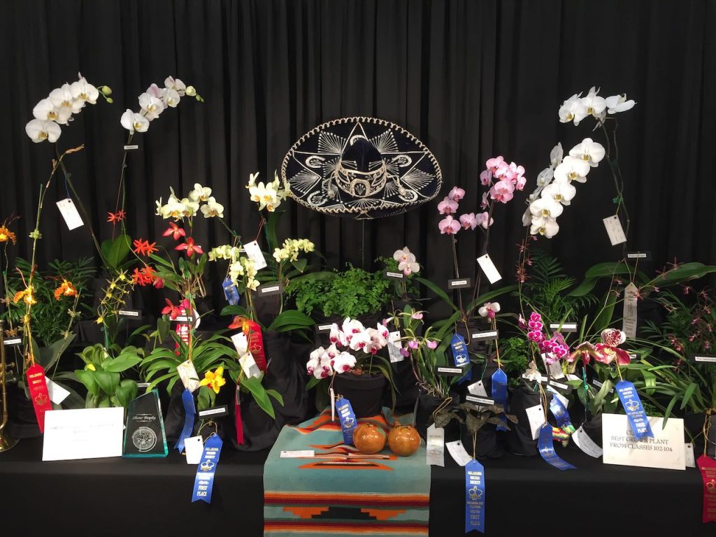 image 1364 Festival 2025