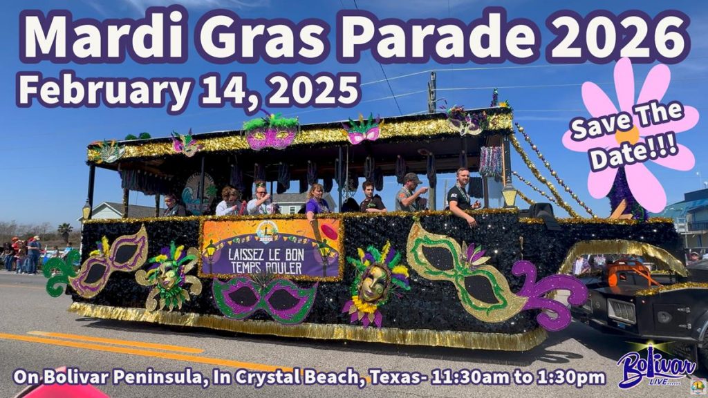 image 1378 Festival 2025