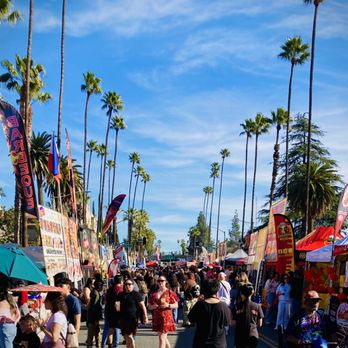 image 1391 Festival 2025