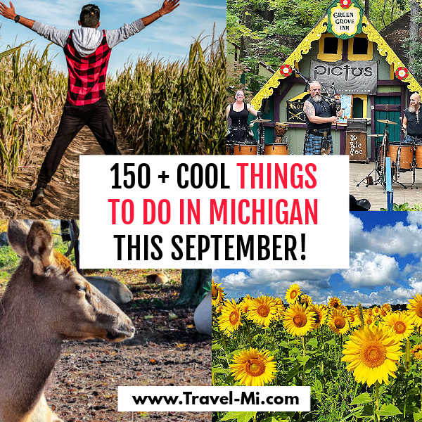 image 1398 Festival 2025