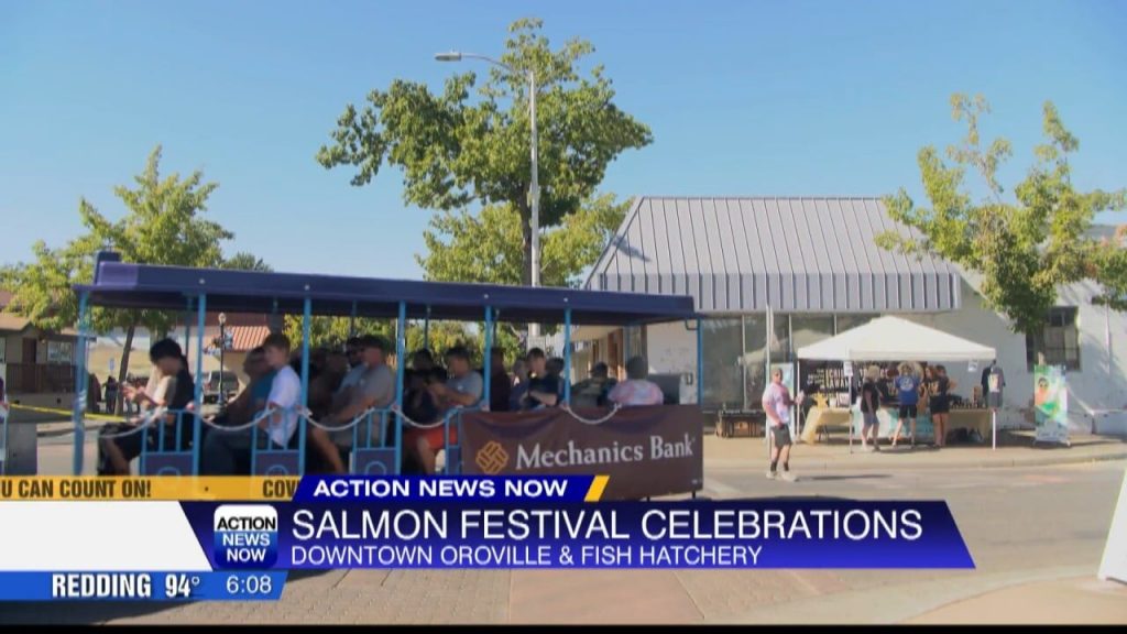 image 1405 Festival 2025