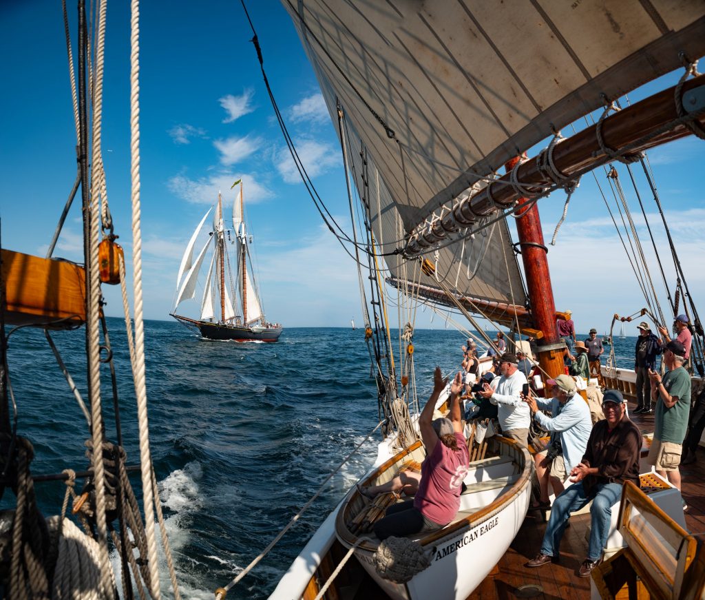 image 1437 Festival 2025