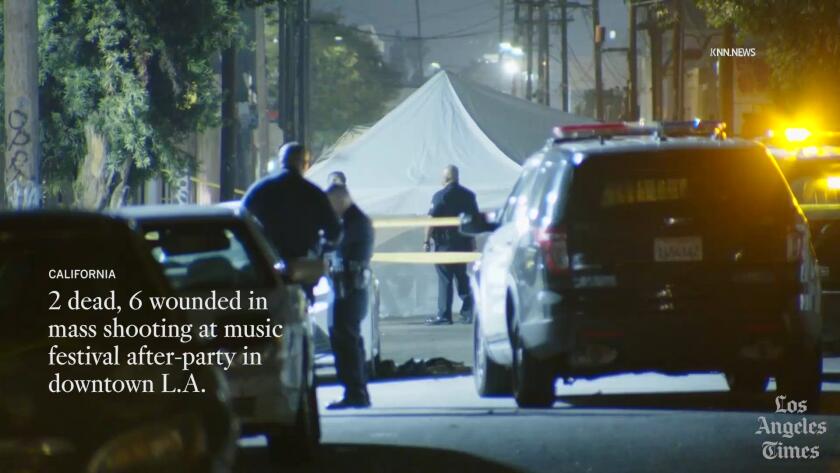 image 1459 Festival 2025