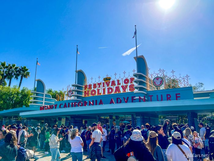 image 1472 Festival 2025