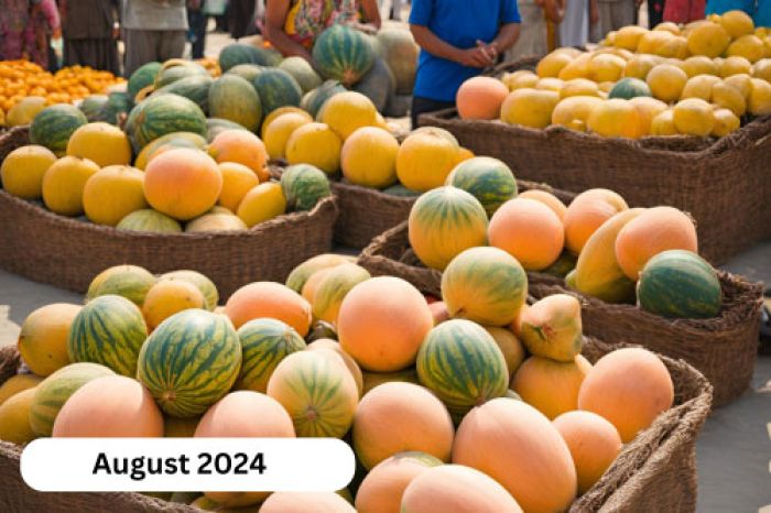 image 1478 Festival 2025