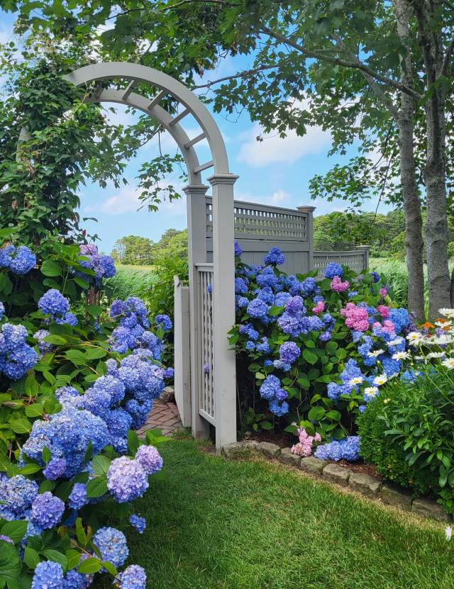 image 1483 Festival 2025