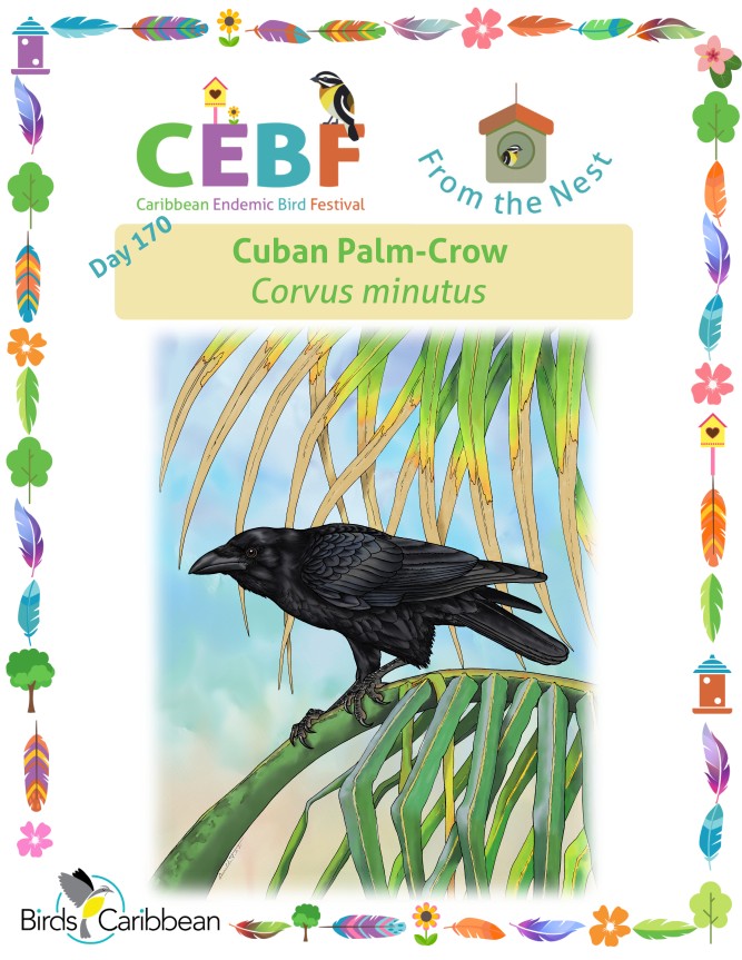 image 1489 Festival 2025