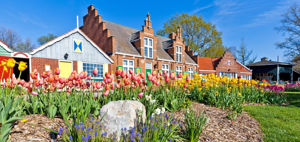 image 149 Festival 2025