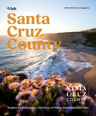 image 1523 Festival 2025