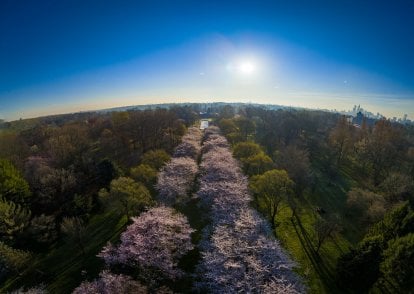 image 1527 Festival 2025