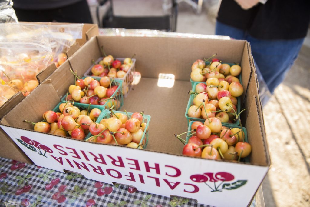 image 1528 Festival 2025