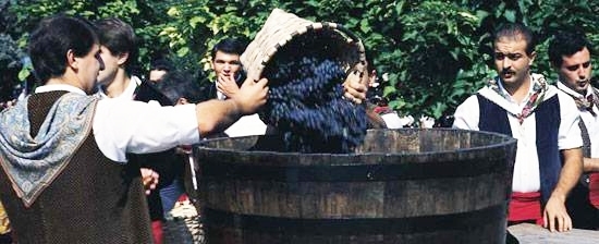 image 1573 Festival 2025