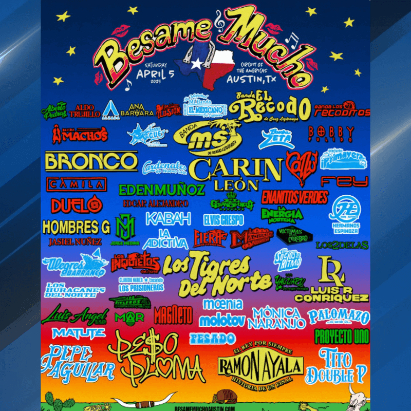 image 161 Festival 2025