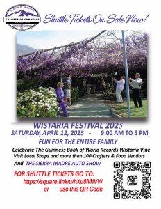 image 1618 Festival 2025